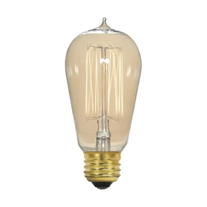 Satco S2413 40 Watt ST19 Incandescent; Clear; 3000 Average rated hours; 160 Lumens; Medium base; 120 Volt - Image 3