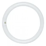 Satco S6500 - 22 Watt; T9; Circline Fluorescent; 4100K Cool White; 62 CRI; 4-Pin base - Image 2