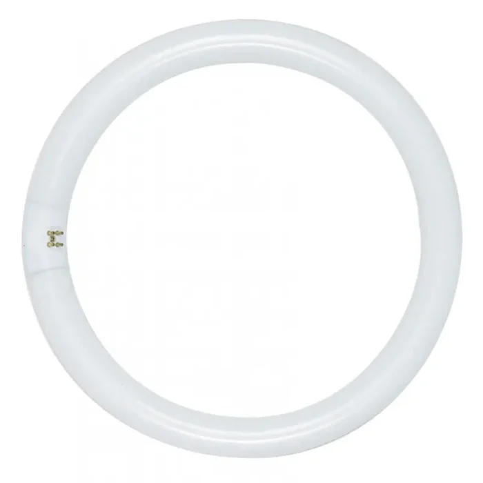 Satco S6500 - 22 Watt; T9; Circline Fluorescent; 4100K Cool White; 62 CRI; 4-Pin base - Image 2